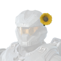 HINF Flower Power Helmet Attachment Icon.png