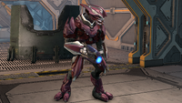 A Sangheili in the Officer harness.