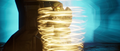 Thumbnail for version as of 20:58, July 25, 2026