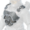 Icon for the Warded Scales chest.