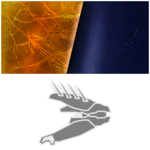 Skins (Halo: Combat Evolved)/Needler - Halopedia, the Halo wiki