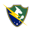 Icon for the S2 ANZ emblem.