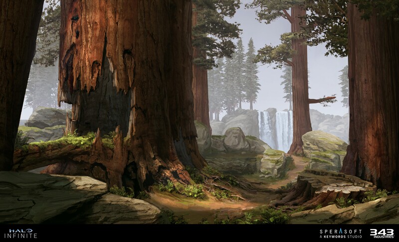 File:HINF Concept ForestHollowTree.jpg