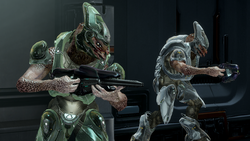 Two Sangheili Storms, one armed with a Eos'Mak-pattern plasma pistol and another armed with Kelos'vaarda-pattern storm rifle, while boarding the UNSC Infinity. From Halo 4 Spartan Ops Episode Invasion Chapter Home_Field.