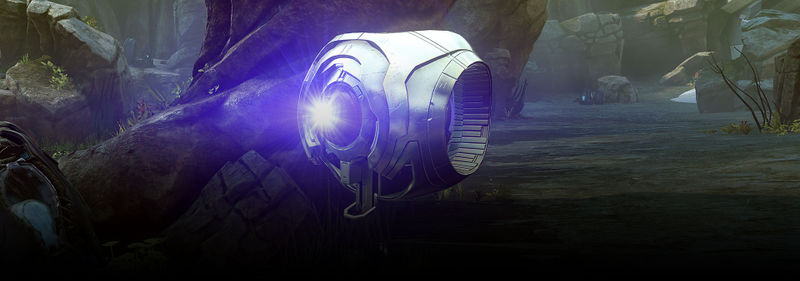 File:Halo 5 - Exuberant in-game.jpg
