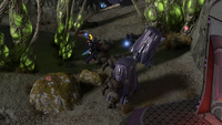 Close quarters combat between Sangheili and Jiralhanae soldiers.