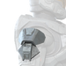 Icon for the SAP/ODST-HS shoulder pads.