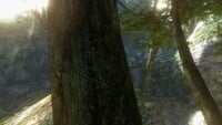 M+L 7-16-95 carved inside a heart