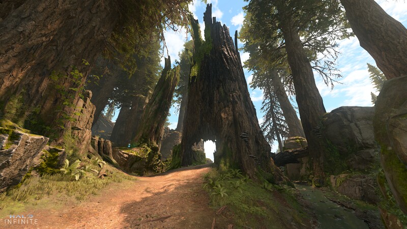 File:HINF PK BlueTeam 37.jpg