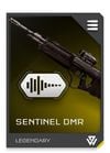REQ Card - DMR Sentinel Silencer.jpg