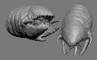 A render of the raw high-poly sculpt of the worm.