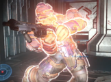A Jiralhanae Warrior with energy shielding in Halo Infinite.