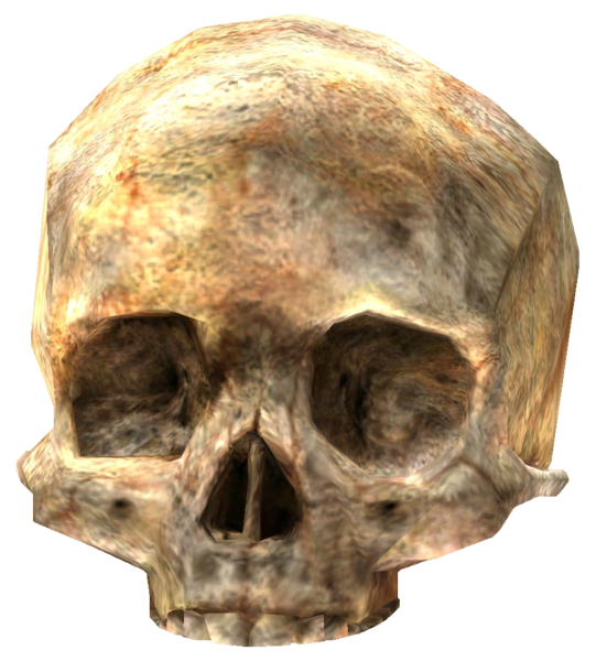 File:HCE-Skull.png