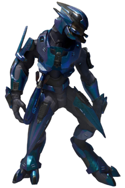 elite minor