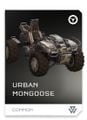 REQ Card - Urban Mongoose.jpg