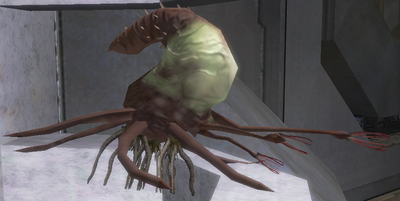 Pod infector - Species - Halopedia, the Halo wiki