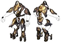 Sangheili Warrior - Halopedia, The Halo Wiki