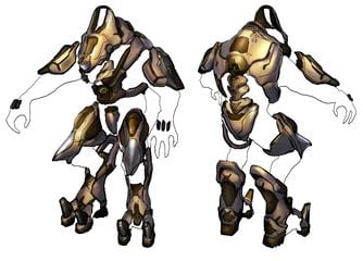 Sangheili Warrior - Halopedia, the Halo wiki