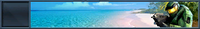 HTMCC Nameplate Beach Life.png