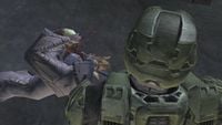Halo picture 09.jpg