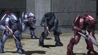 A group of Sangheili at the third barrier tower.