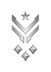 Multiplayer career rank insignia for Halo Infinite.