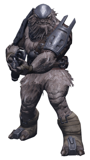 H2A Jiralhanae.png