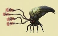 Concept art of a pod infector for Halo: Campaign Evolved.