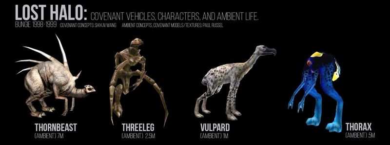 File:HCE ambient life (deletemat).jpg