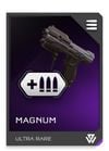 REQ Card - Magnum Extended Mags.jpg