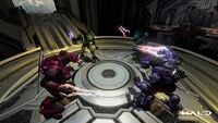 Four Sangheili gathered in center area.