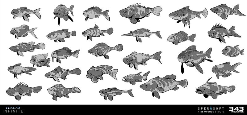 File:HINF FishConcepts.jpg