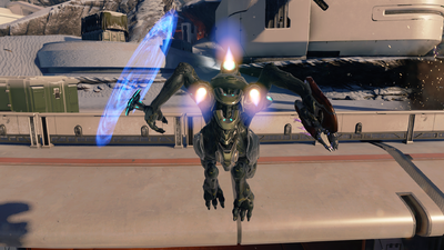 Kig-Yar Ranger - Halopedia, the Halo wiki