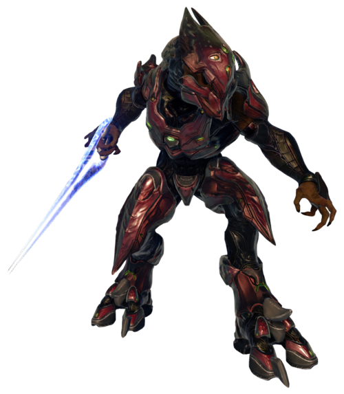 Sangheili Zealot - Halopedia, the Halo wiki