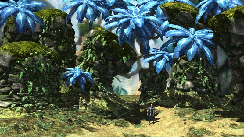 File:MMO Jungle.png