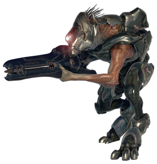 Kig-yar Sniper - Halopedia, The Halo Wiki