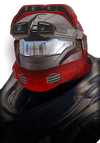 REQ icon for the Vigilant armor.
