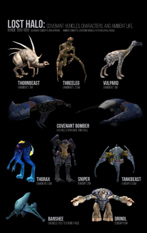 Renders of various cut species in Halo: CE.
