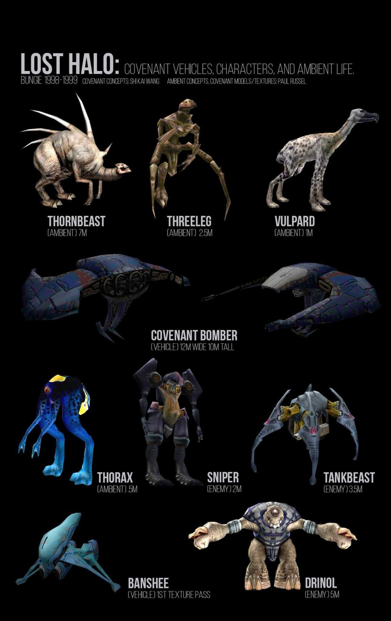 halo 4 covenant species