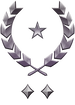 Multiplayer career rank insignia for Halo Infinite.