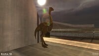 A Moa in Halo 2.
