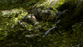 Thumbnail for version as of 18:10, July 19, 2025