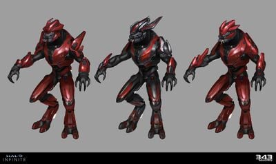 Sangheili Enforcer - Halopedia, The Halo Wiki