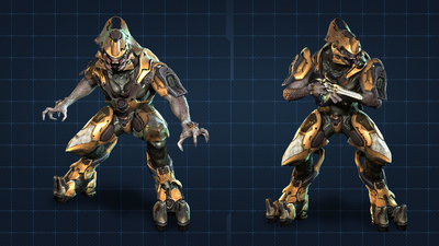 Sangheili Warrior - Halopedia, the Halo wiki