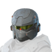 Icon for the Rogue helmet.
