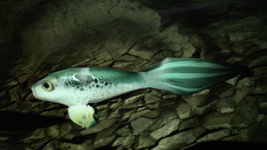 This is a Screenshot of the fish from Halo 2 Anniversary