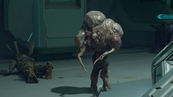 A Flood carrier form in the Threshold gas mine. From  Halo 2 Anniversary campaign level The Oracle.