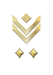 Multiplayer career rank insignia for Halo Infinite.