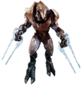 Face-on view of Arbiter Ripa 'Moramee in Halo Wars.
