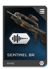 REQ Loadout Weapon BR Sentinel Silencer.jpg